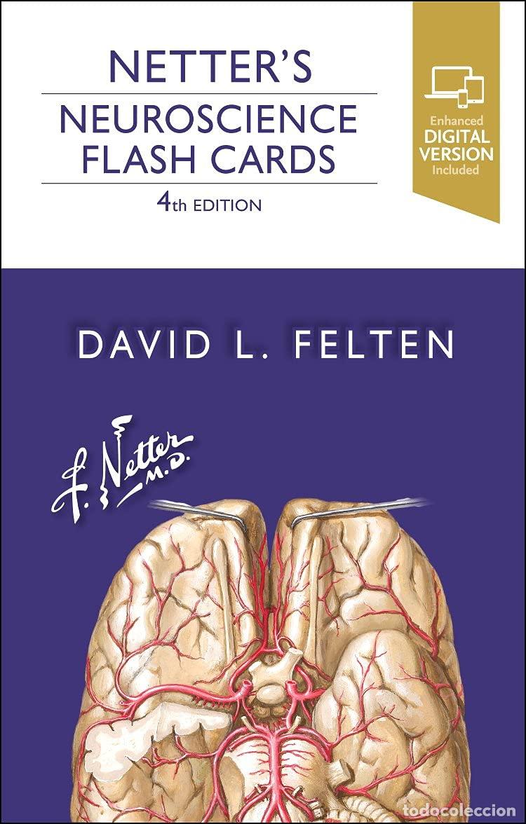 Livres: NETTER&acute;S NEUROSCIENCE FLASH CARDS - Felten