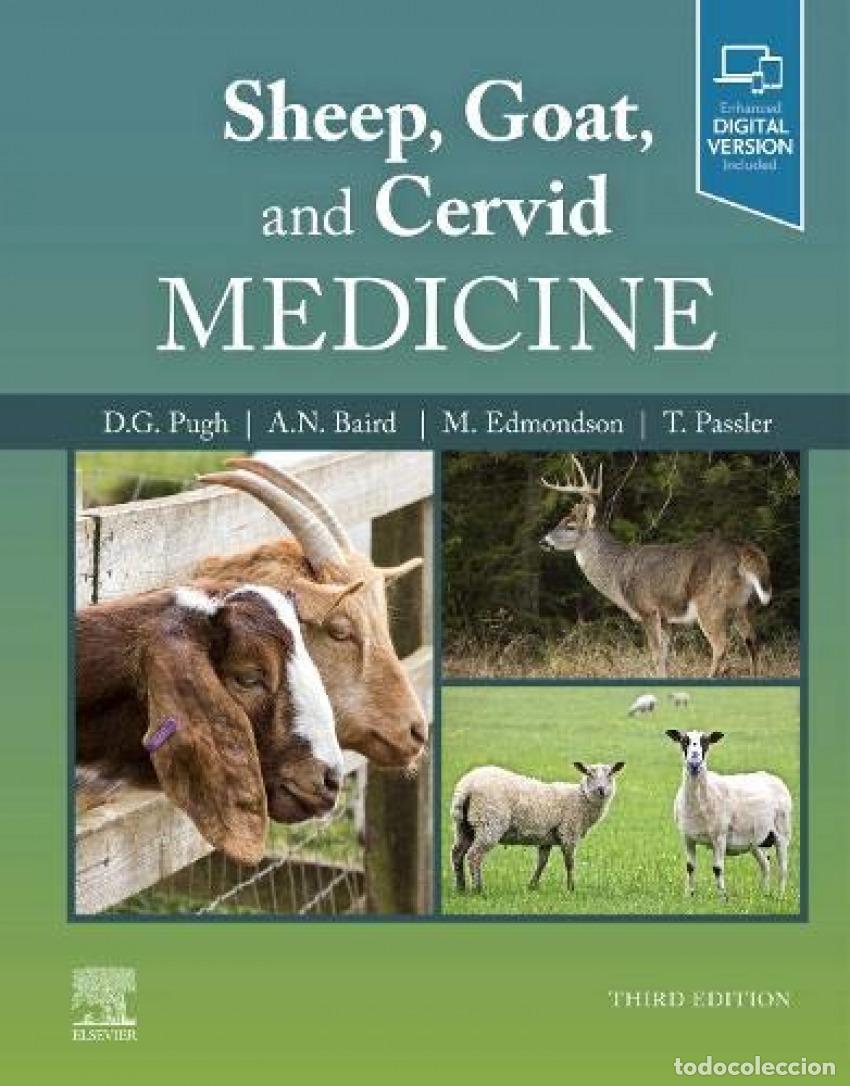 Livres: SHEEP, GOAT, AND CERVID MEDICINE - Pugh