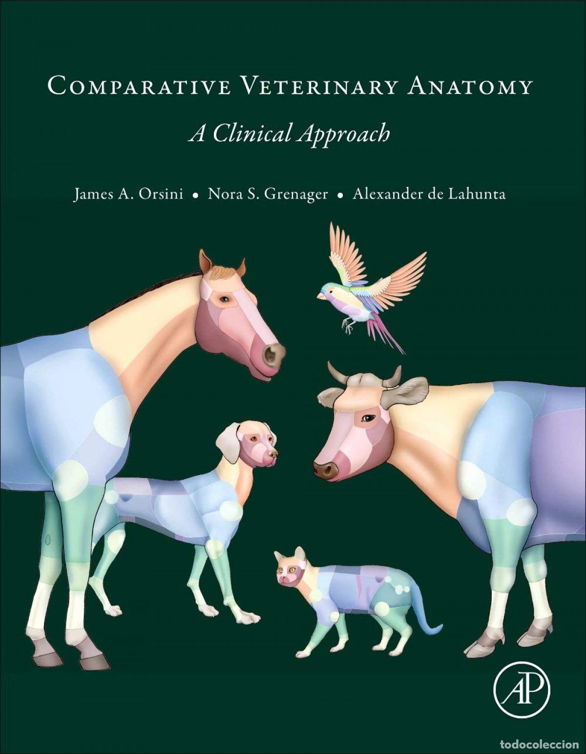 Livres: COMPARATIVE VETERINARY ANATOMY - Orsini Et Ali