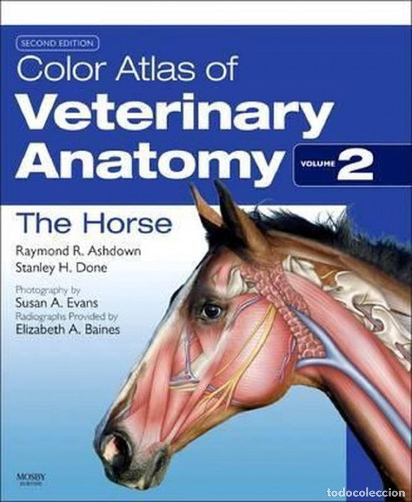 Libri: COLOR ATLAS OF VETERINARY ANATOMY, VOLUME 2, THE HORSE - Ashdown, Raymond