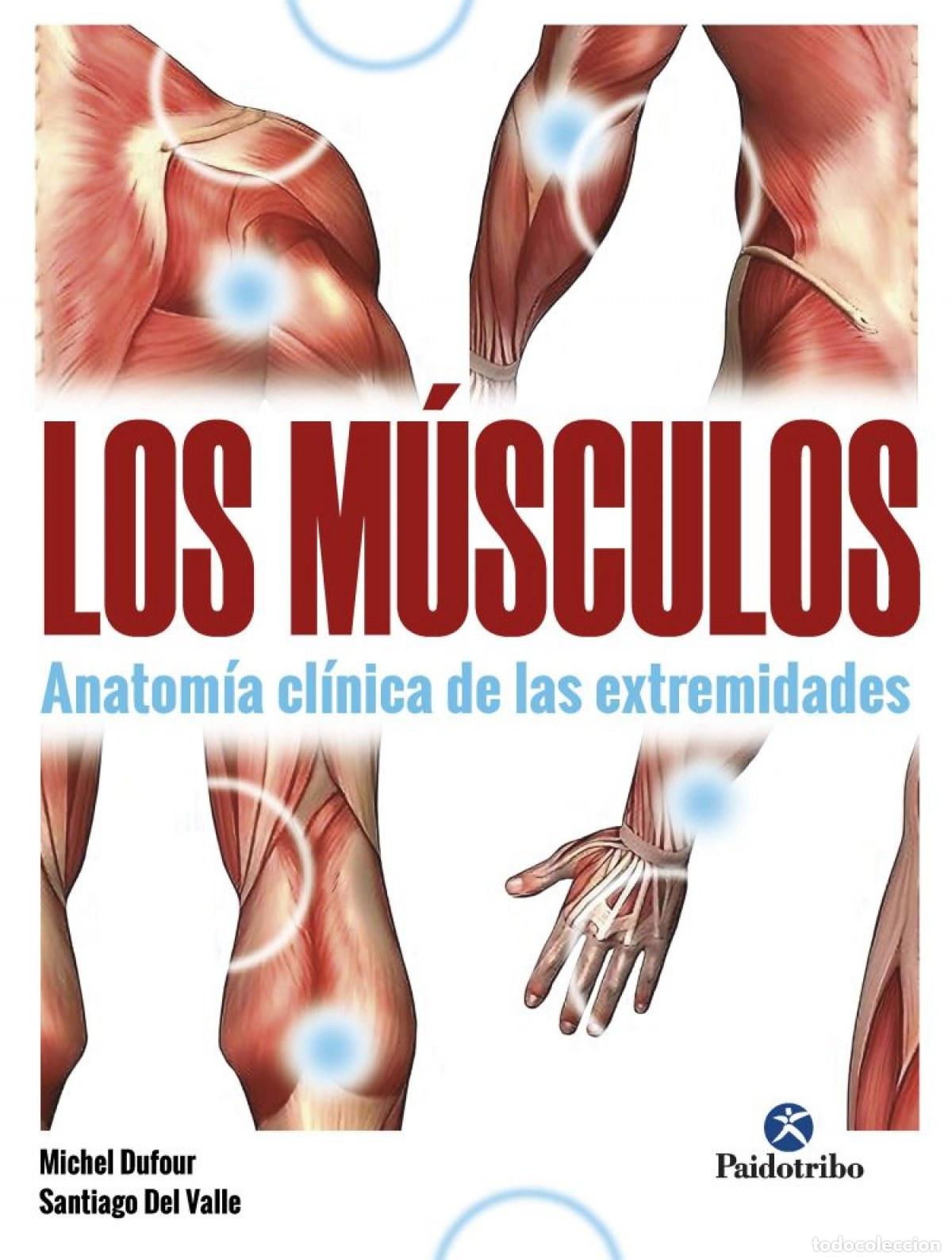Libri: M&Uacute;SCULOS, LOS. ANATOM&Iacute;A CL&Iacute;NICA DE LAS EXTREMIDADES - Dufour, Michel