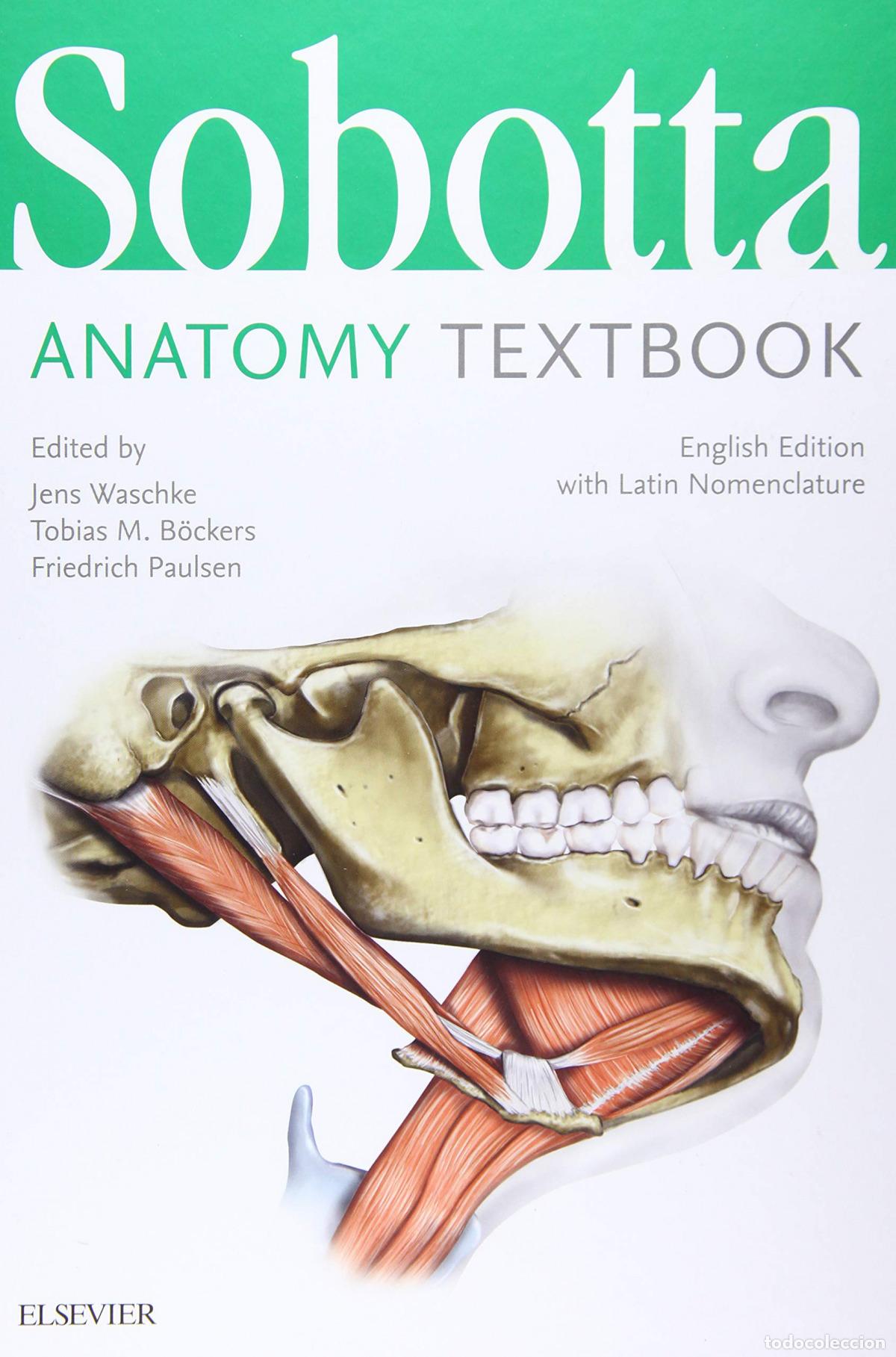 Libros: SOBOTTA ANATOMY TEXTBOOK - Paulsen, Bockers - Foto 1