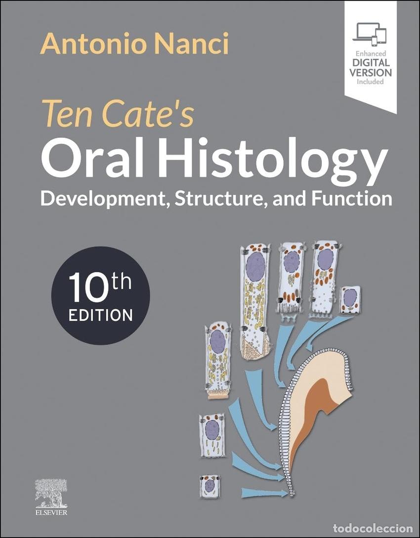 Libros: TEN CATE&acute;S ORAL HISTOLOGY - Nanci - Foto 1