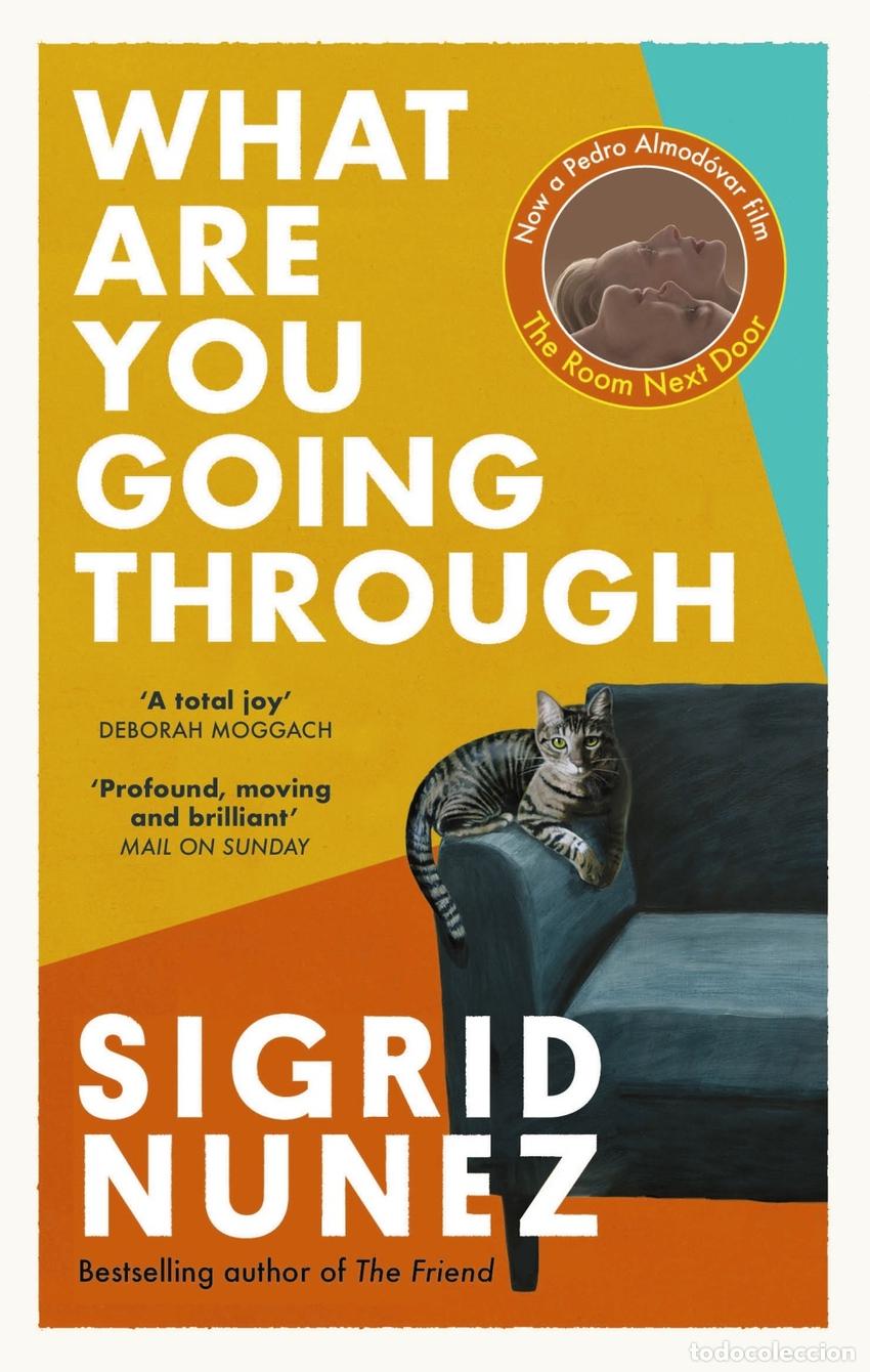 Livres: WHAT ARE YOU GOING THROUGH? - Nunez, Sigrid