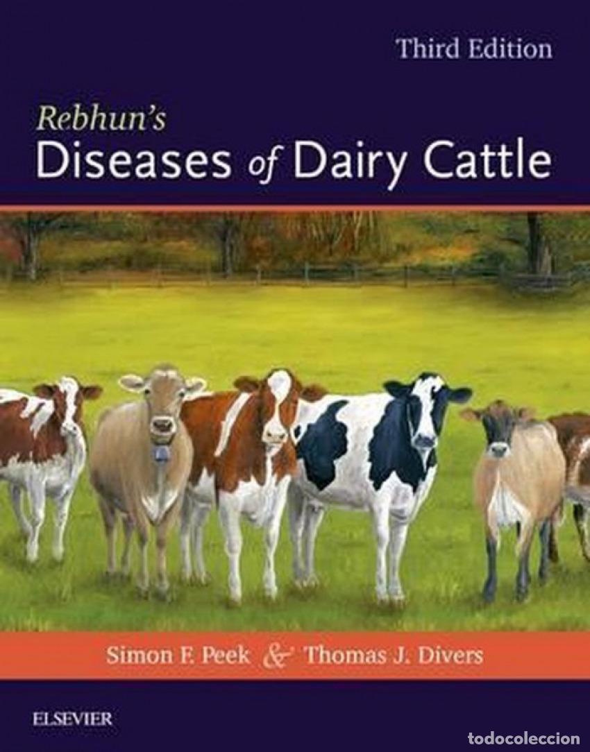 B&uuml;cher: REBHUN'S DISEASES OF DAIRY CATTLE - Peek, Simon