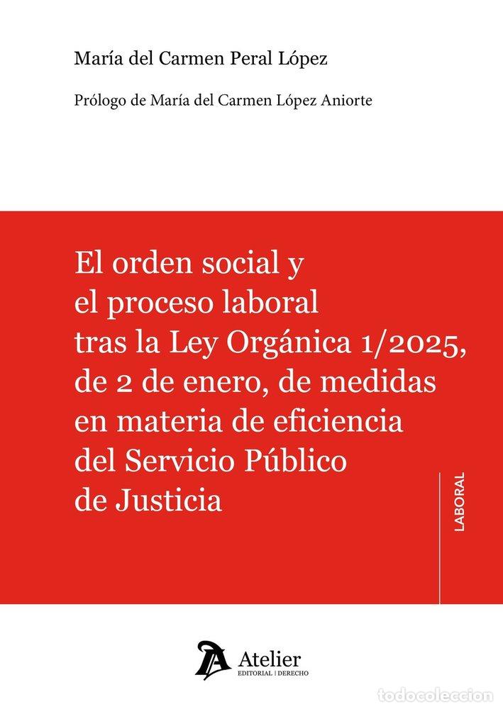 B&uuml;cher: EL ORDEN SOCIAL Y EL PROCESO LABORAL TRAS LA LEY ORGANICA - AA.VV