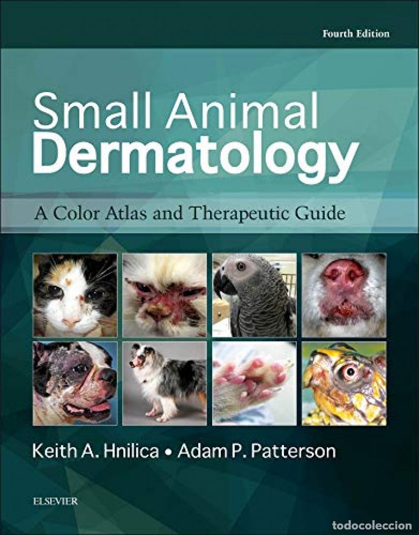 B&uuml;cher: SMALL ANIMAL DERMATOLOGY - Hnilica, Keith