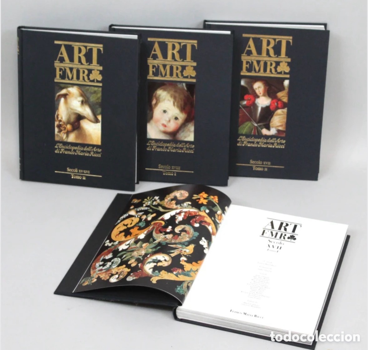 books: 17 vol&uacute;menes nuevos , Art FMR. La enciclopedia del arte de Franco Mar&iacute;a Ricci.