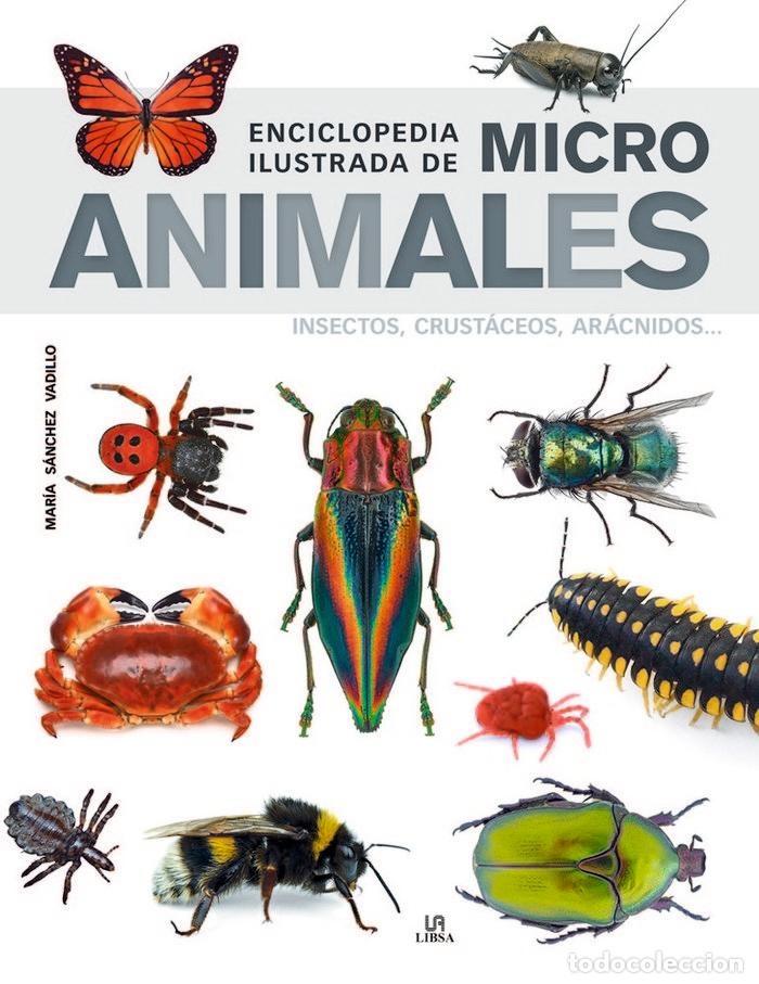 Livros: ENCICLOPEDIA ILUSTRADA DE MICRO ANIMALES - SANCHEZ VADILLO, MARIA