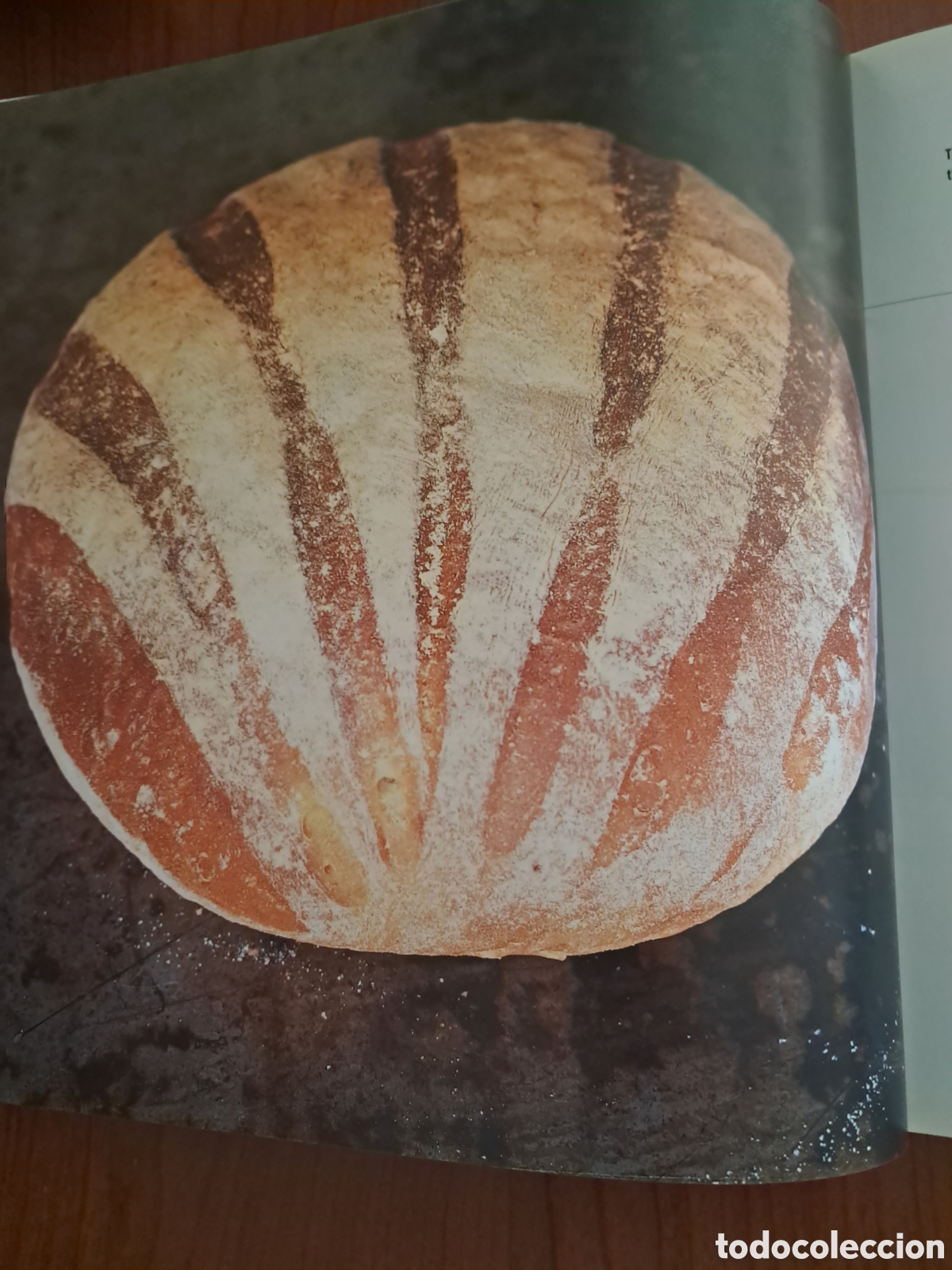 Libros: 100 Great Breads Paul Hollywood - Foto 6