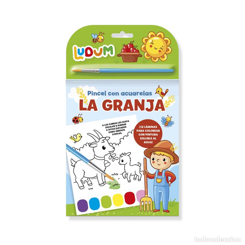 Livros: LUDUM - LIBRETA COLOREAR ACUARELA - LAS ESTACIONES - Imagiland
