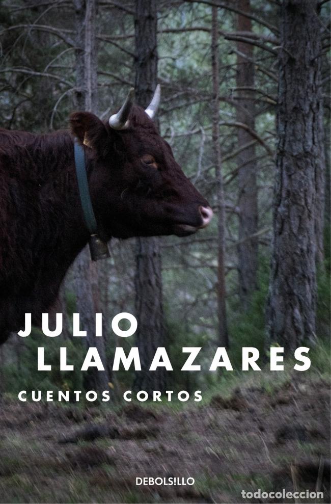 Livres: CUENTOS CORTOS - LLAMAZARES, JULIO