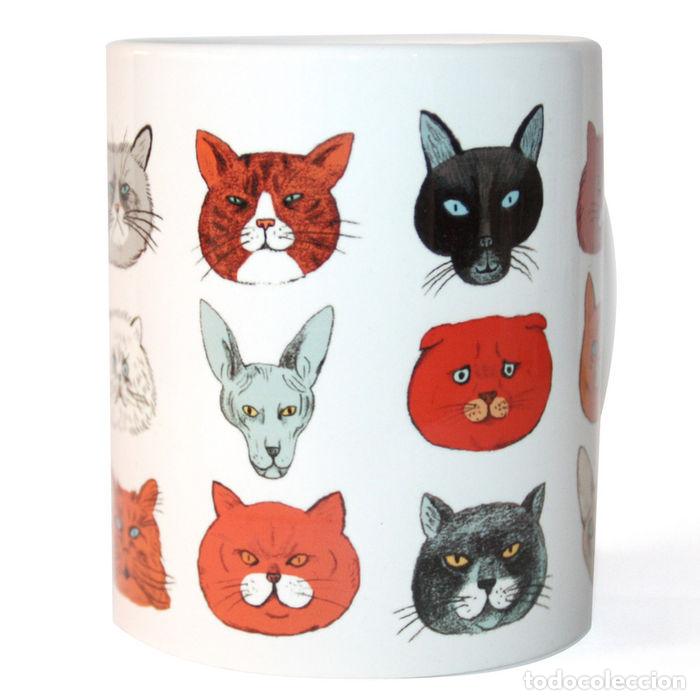 books: TAZA GATOS BAJO LA LUPA DE LOS CIENTIFICOS - MOURRAIN, SEBASTIEN