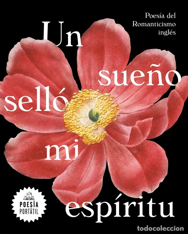 books: UN SUE&Ntilde;O SELL&Oacute; MI ESP&Iacute;RITU - Poesia clasica y anterior al siglo XX