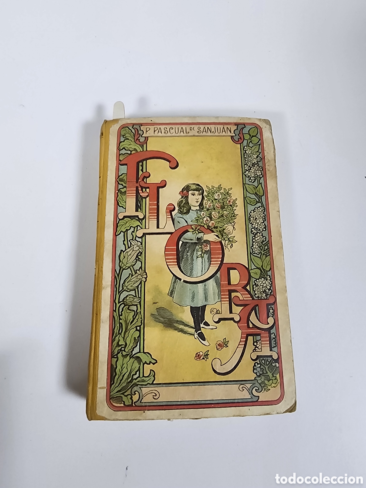 Libros: Flora o la educaci&oacute;n de una ni&ntilde;a - Pilar Pascual de Sanju&aacute;n - Hijo de Paluz&iacute;e