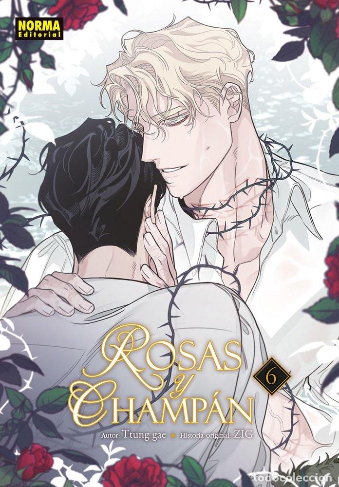 Libros: ROSAS Y CHAMPAN 6 - TTUNG GAE