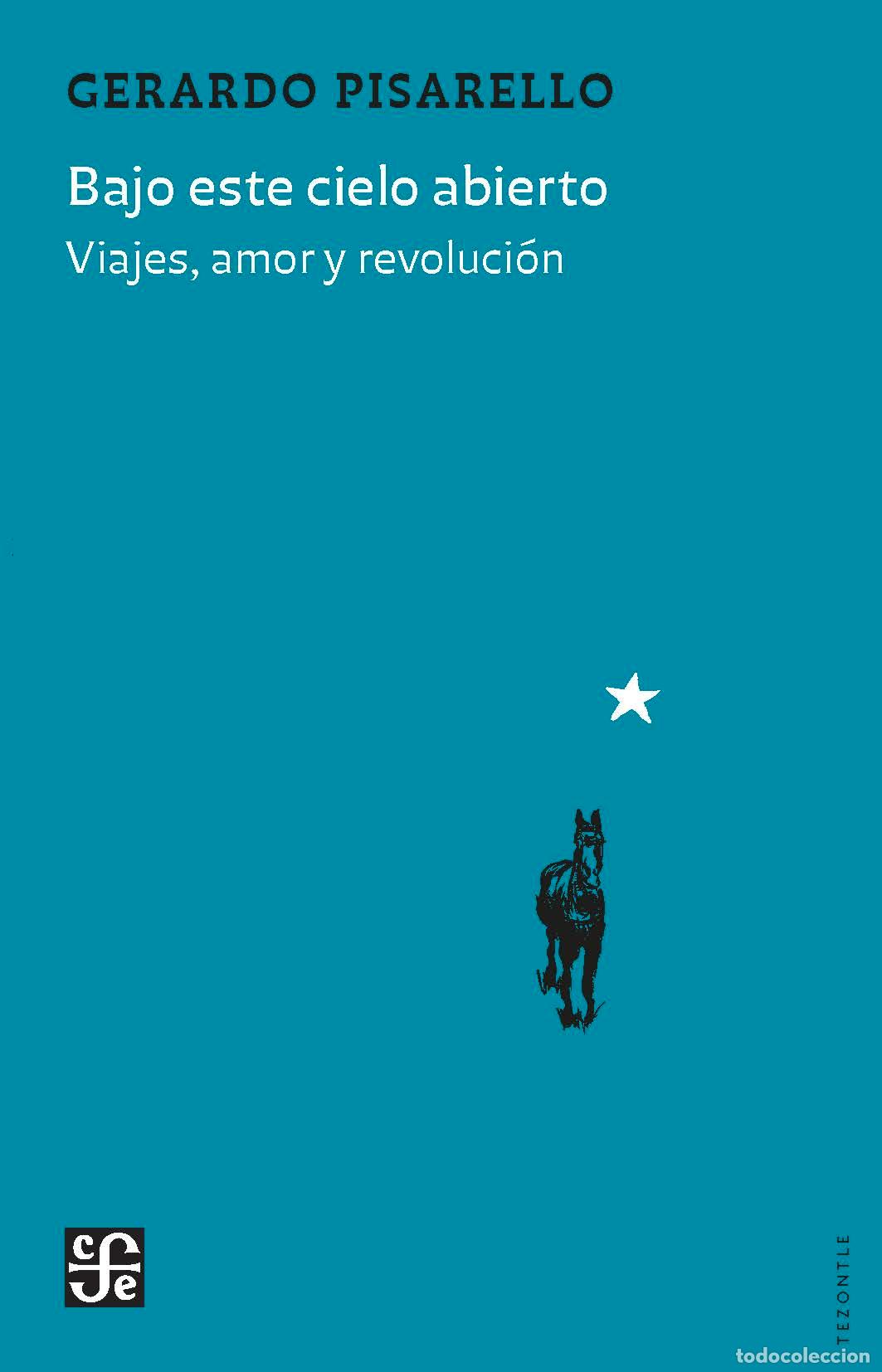Libros: BAJO ESTE CIELO ABIERTO - PISARELLO PRADOS, GERARDO