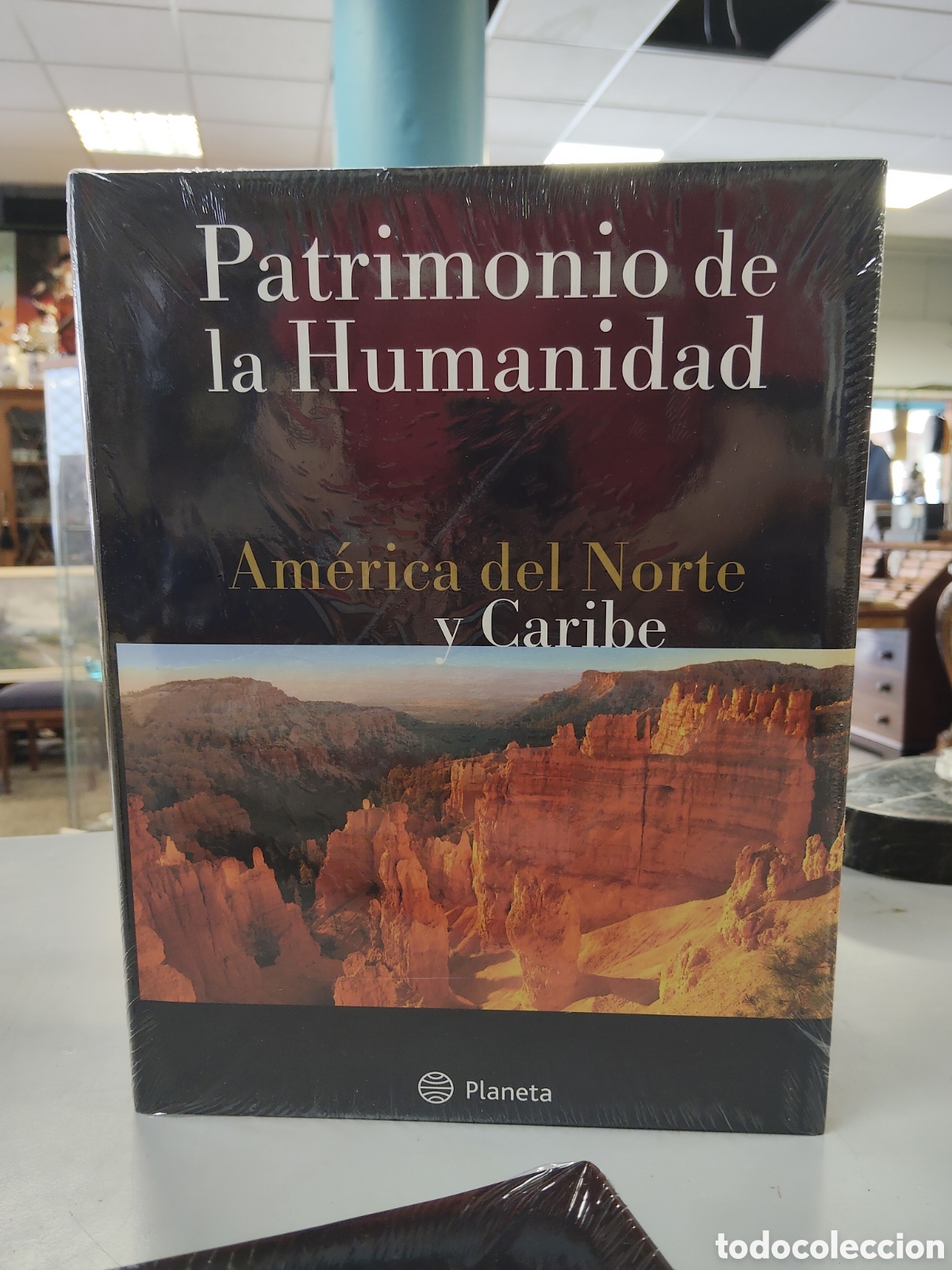 Libros: Patrimonio de la humanidad AMERICA