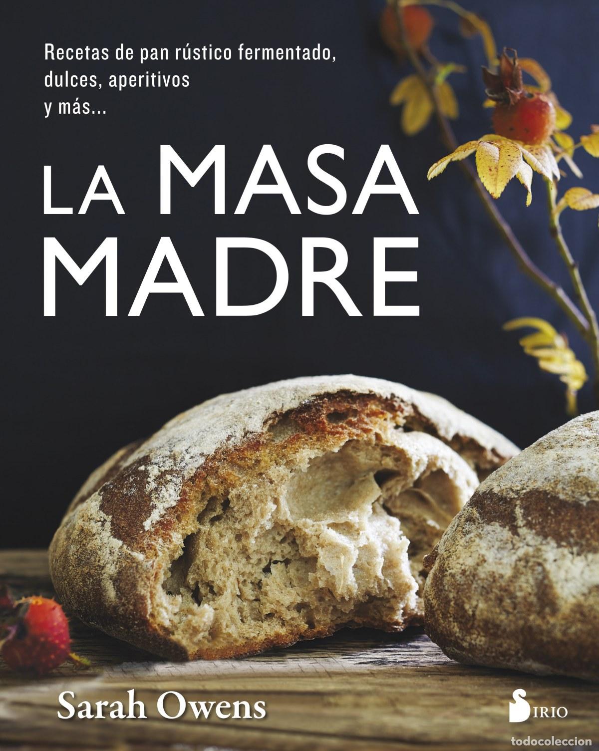 Libri: LA MASA MADRE - Oerns, Sarah