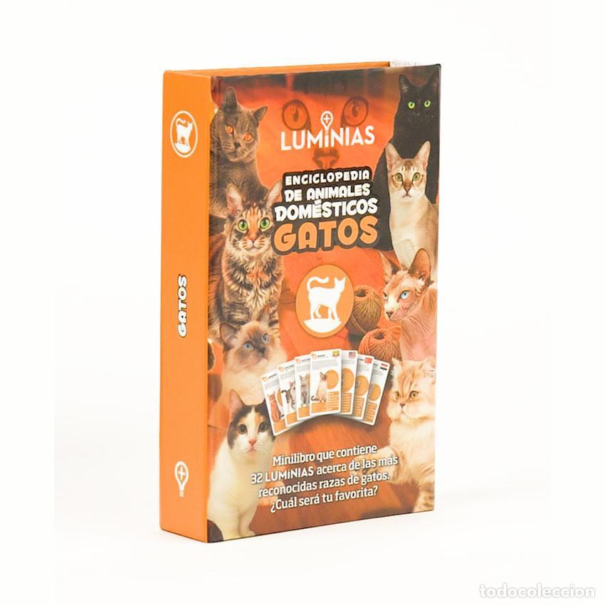 Livres: ENCICLOPEDIA DE ANIMALES DOM&Eacute;STICOS-GATOS(ESTUCHE CON 32 CARTAS) - Bezares, A