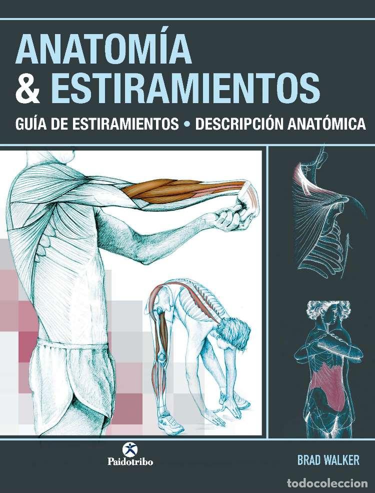 Livros: ANATOM&Iacute;A & ESTIRAMIENTOS. GU&Iacute;A DE ESTIRAMIENTOS. DESCRIPCI&Oacute;N ANAT&Oacute;MICA (COLOR) - Walker, Brad
