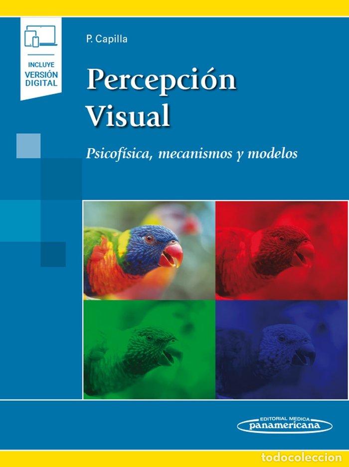 B&uuml;cher: PERCEPCION VISUAL - AA.VV