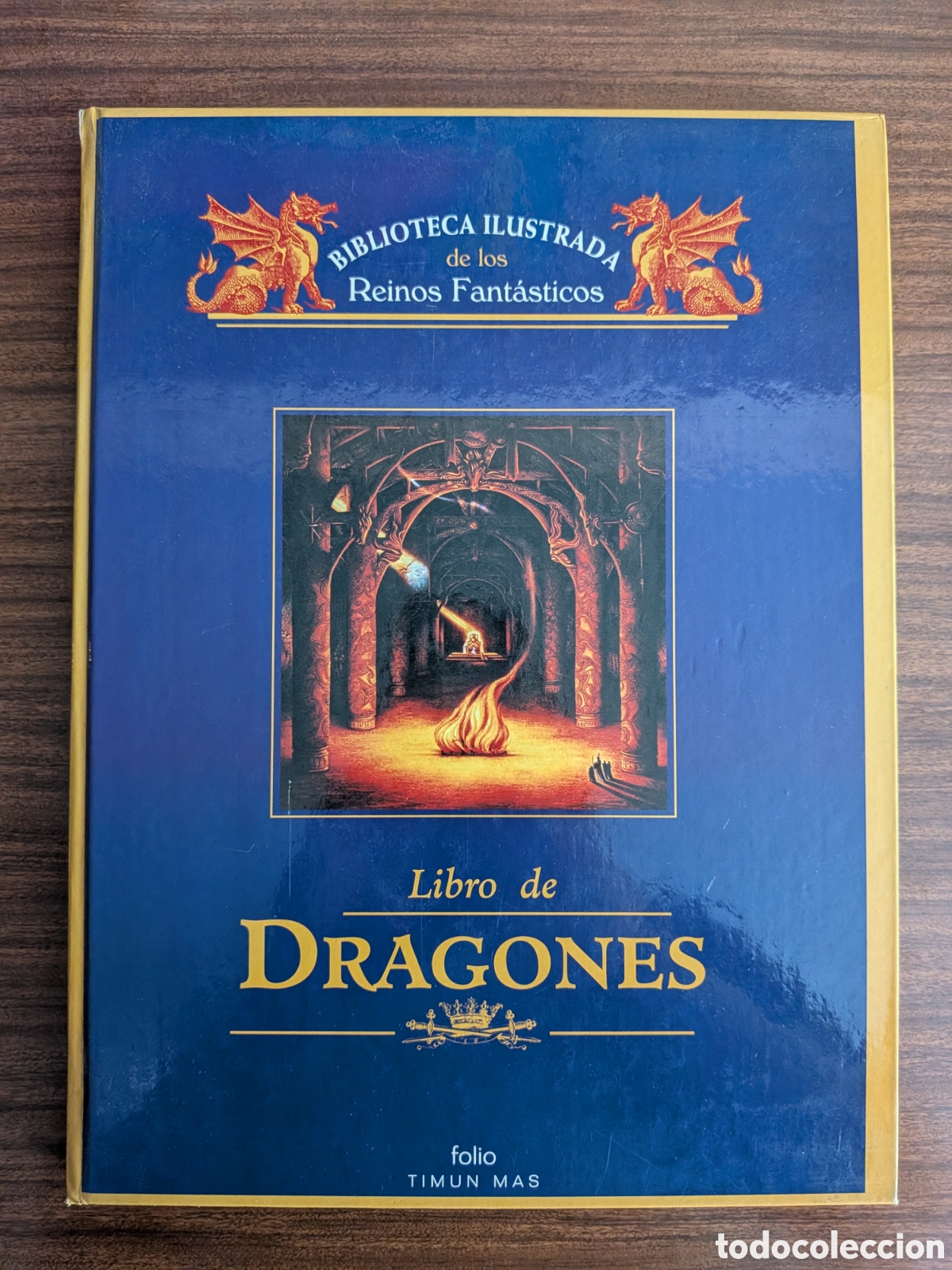 Libros: Libro de Dragones. Biblioteca ilustrada