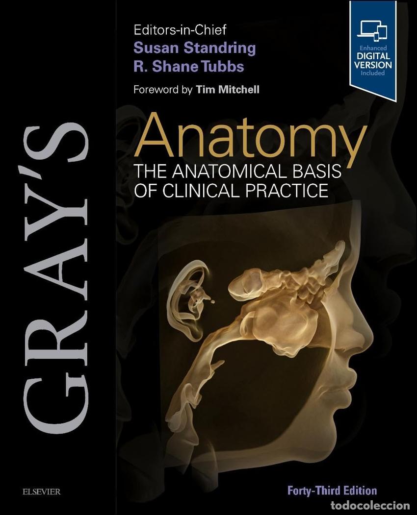 Livres: GRAY'S ANATOMY 43ND EDITION - Ingles