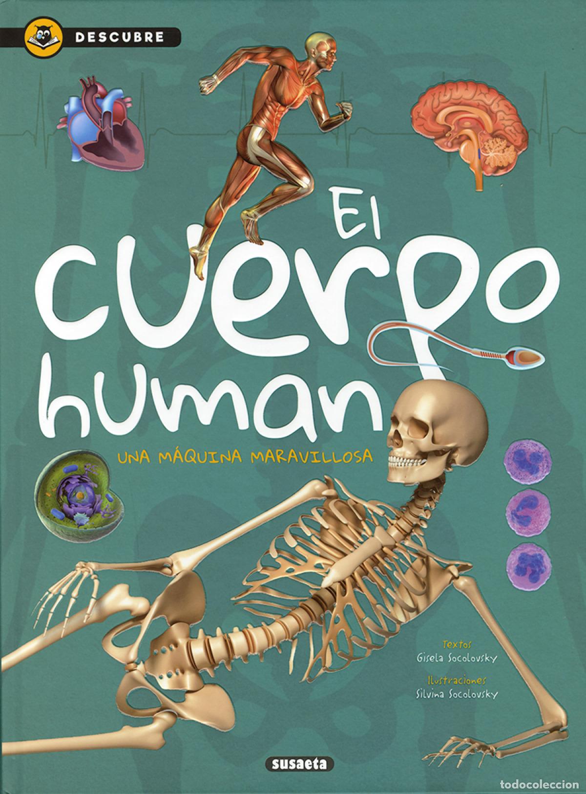Libri: EL CUERPO HUMANO - Socolovsky, Gisela