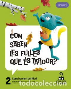 Libri: Projecte: viatge al centre de la curiositat. coneixement del medi 2. trimestresprimaria.2ocurso - Ar