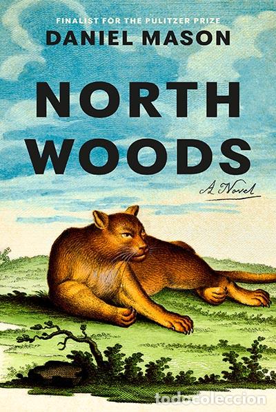 Libri: NORTH WOODS - MASON, DANIEL