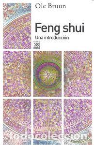 B&uuml;cher: FENG SHUI - BRUUN, OLE