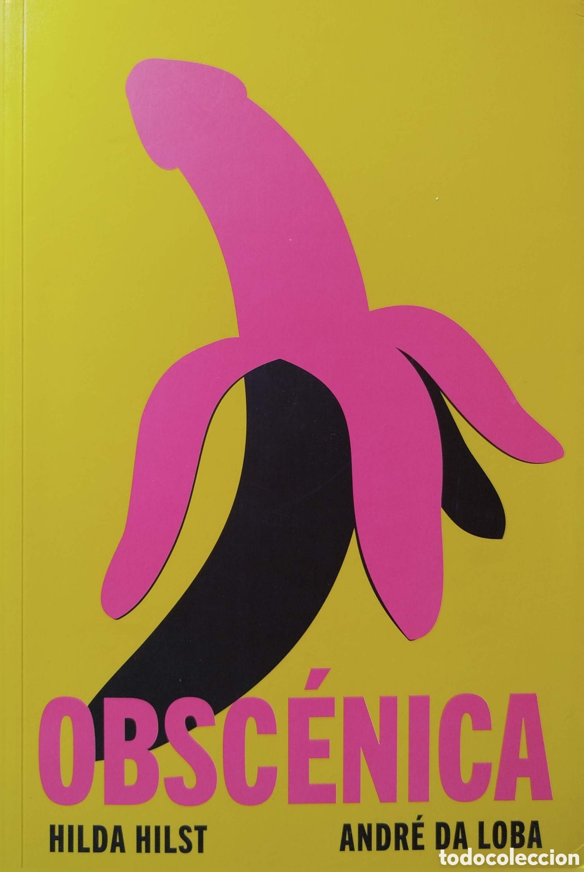 Libros: Obsc&eacute;nica. Hilda Hilst. Libros del zorro rojo. 2022.