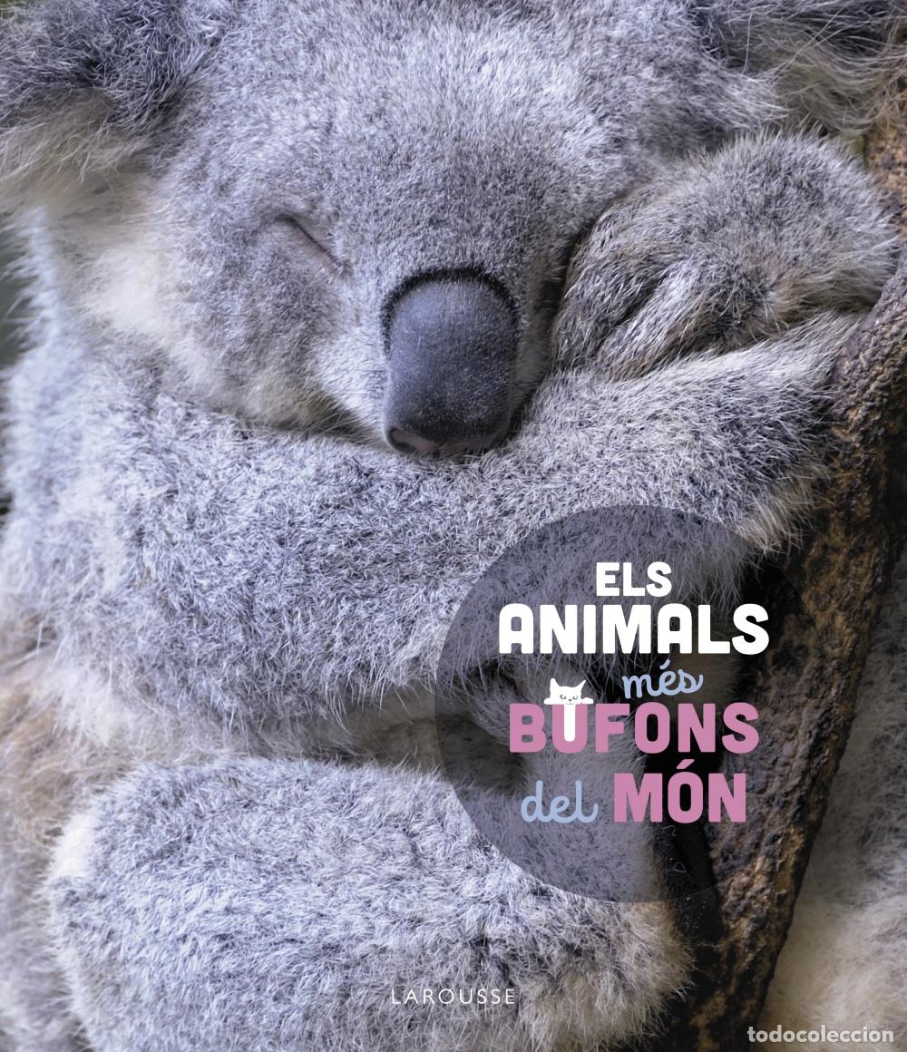 Libros: ELS ANIMALS M&Eacute;S BUFONS DEL M&Oacute;N - Ledu, St&eacute;phanie