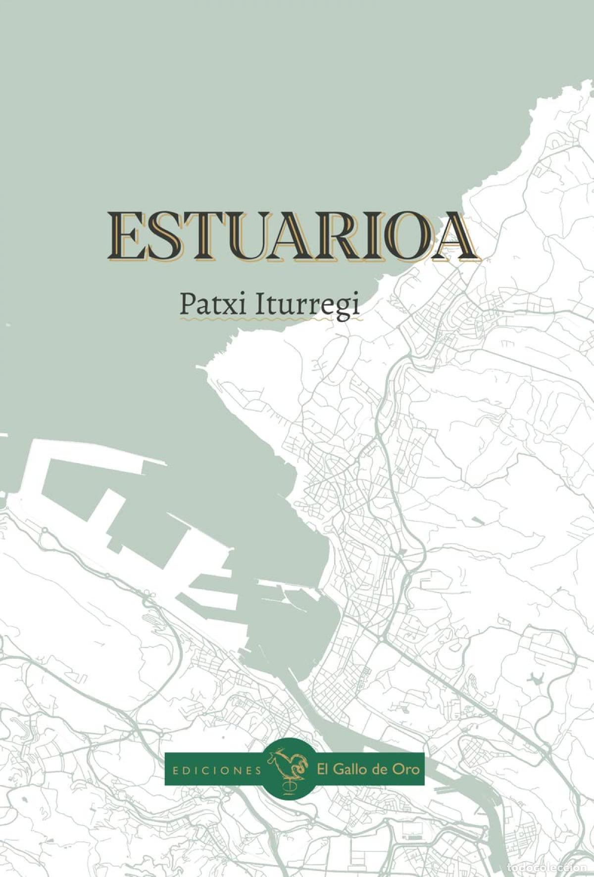 Libri: ESTUARIOA - Iturregi, Patxi