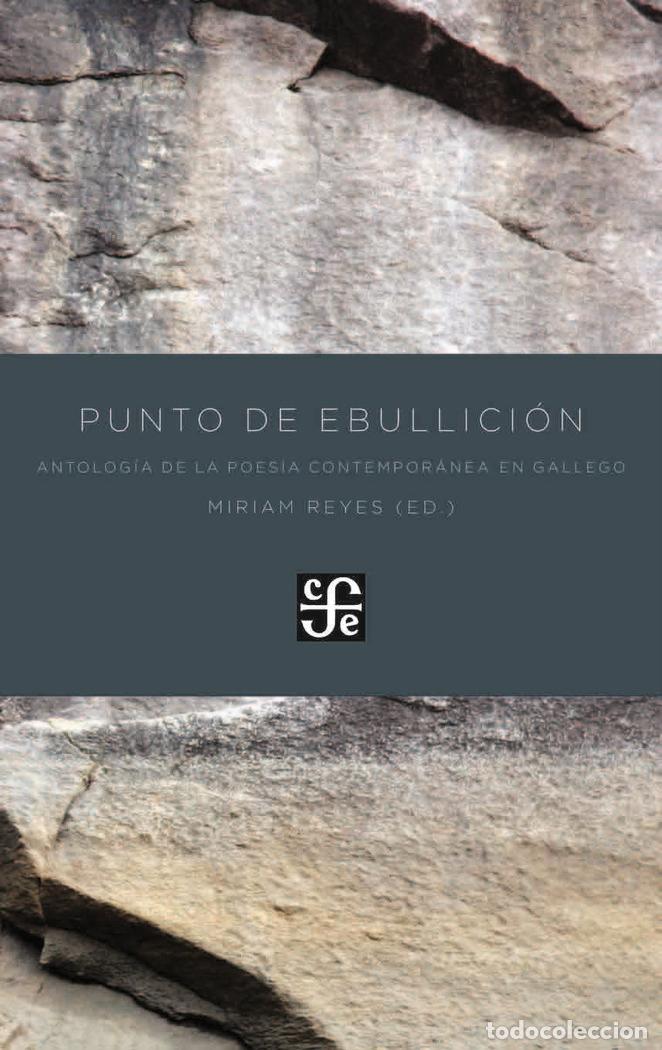 Libros: PUNTO DE EBULLICION - REYES, MIRIAM