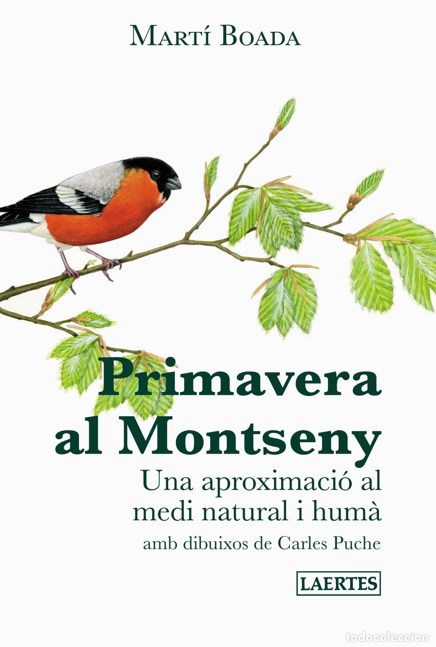 Libros: PRIMAVERA AL MONTSENY - BOADA, MART?