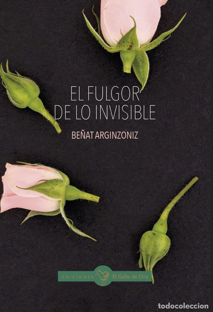 Libros: EL FULGOR DE LO INVISIBLE - ARGINZONIZ, BE&Ntilde;AT