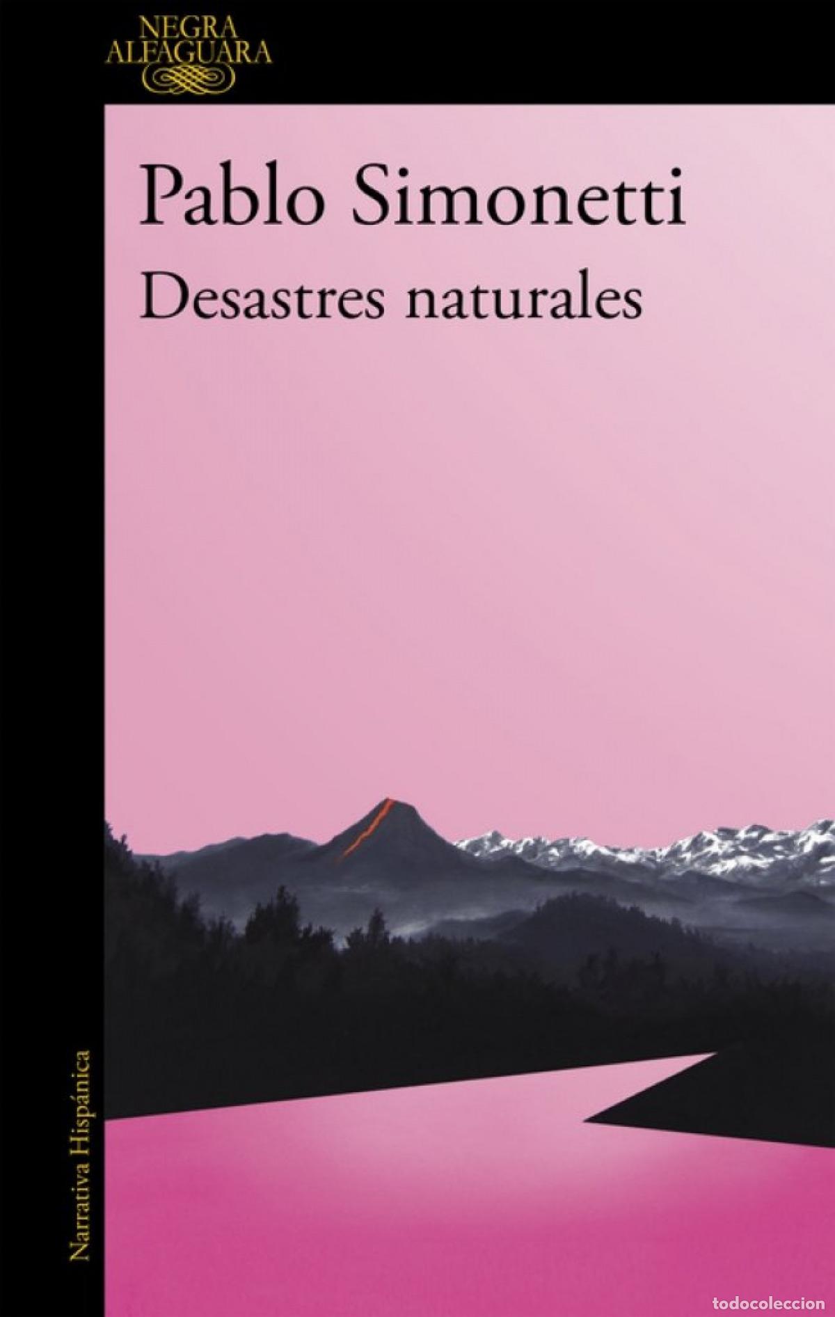 Libros: DESASTRES NATURALES - Simonetti, Pablo