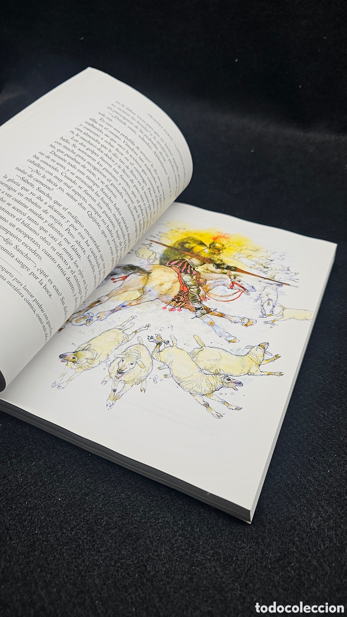 Libros: Libro del quijote de la Mancha - Foto 9