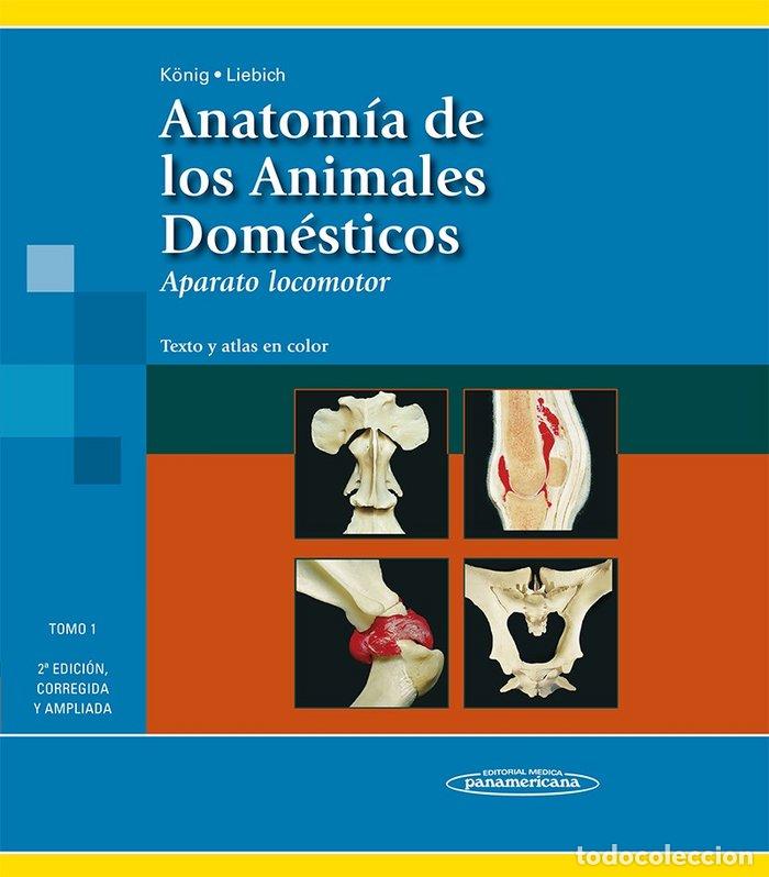books: ANATOMIA DE LOS ANIMALES DOMESTICOS TOMO I APARATO LOCOMOTO - KONIG, HORST ERICH