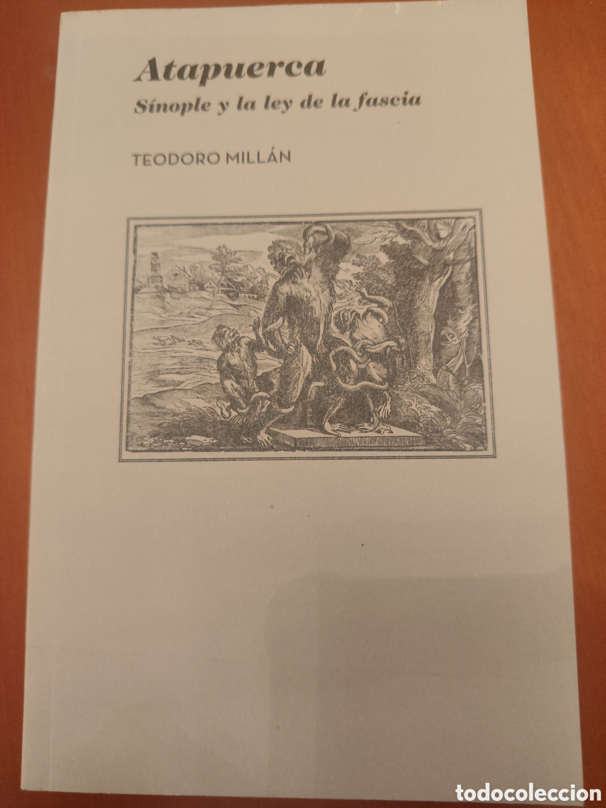 Libros: Atapuerca. S&iacute;nople y la ley de la fascia. Teodoro Mill&aacute;n