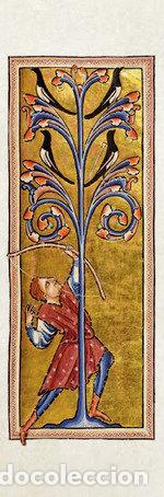 books: MARCAPAGINAS BESTIARIO DE ABERDEEN - AA.VV.