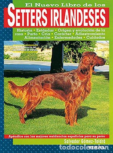 Libros: El nuevo libro de los setters irlandeses : setter irland&eacute;s rojo y setter irland&eacute;s rojo y blanco - Sa