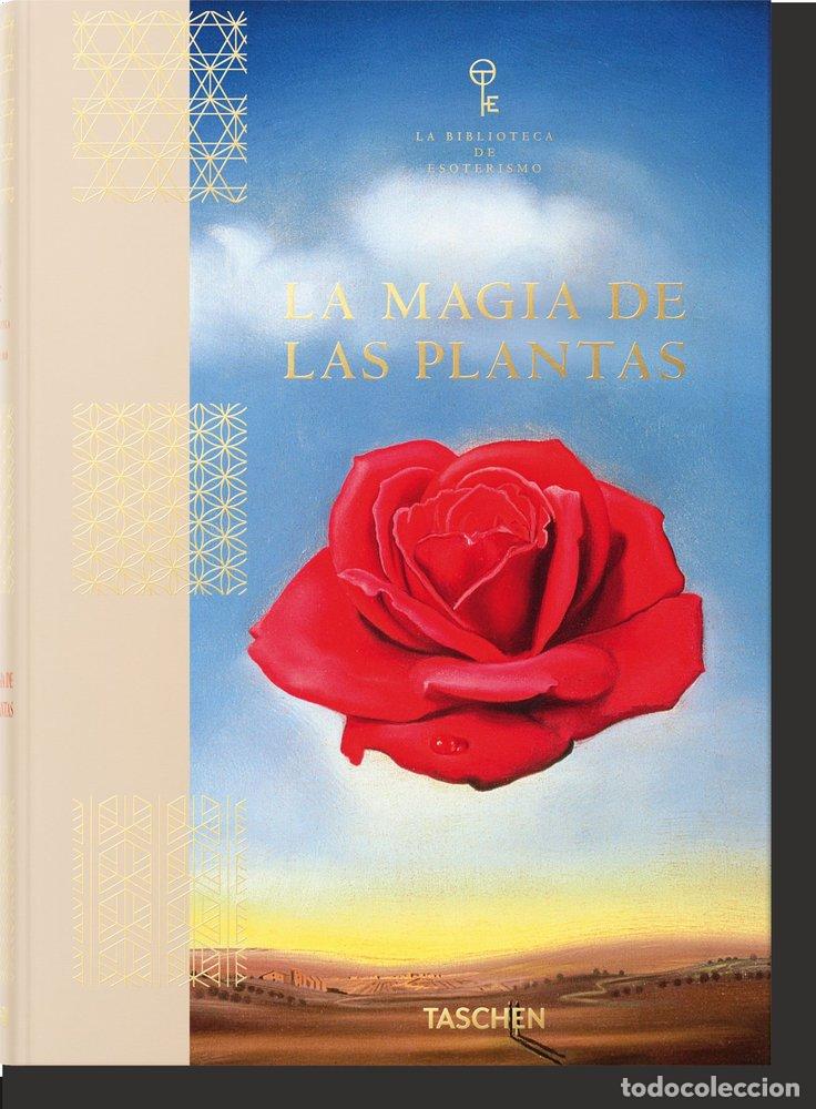 books: LA MAGIA DE LAS PLANTAS - HUNDLEY, JESSICA