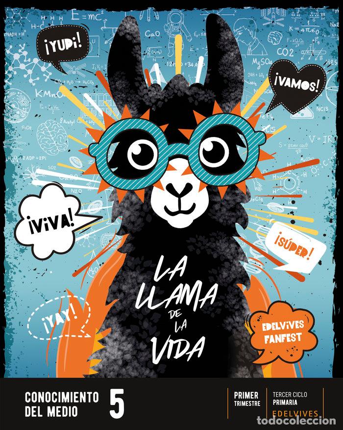 books: CONOCIMIENTO MEDIO 5&ordm;EP 22 FANFEST - AA.VV