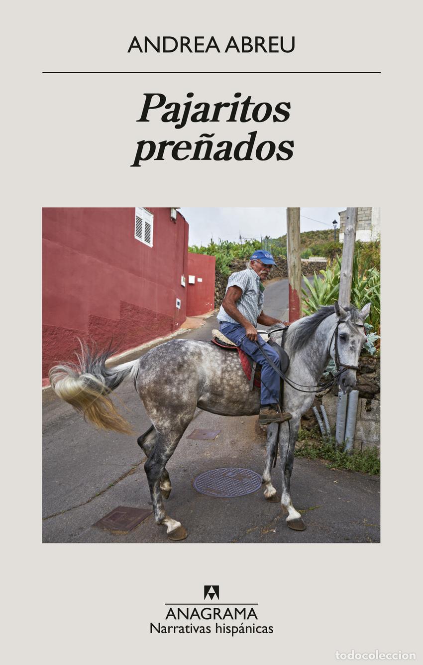 Libri: PAJARITOS PRE&Ntilde;ADOS - Abreu, Andrea