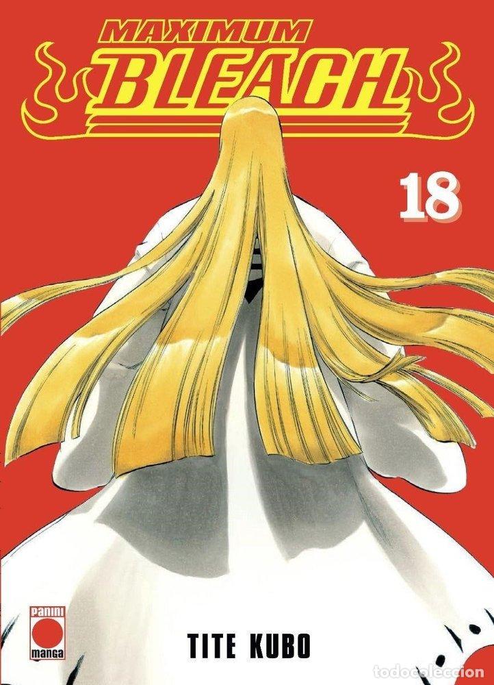books: MAXIMUM BLEACH 18 - TITE KUBO