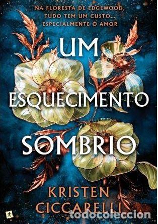 Libros: UM ESQUECIMENTO SOMBRIO - Kristen Ciccarelli