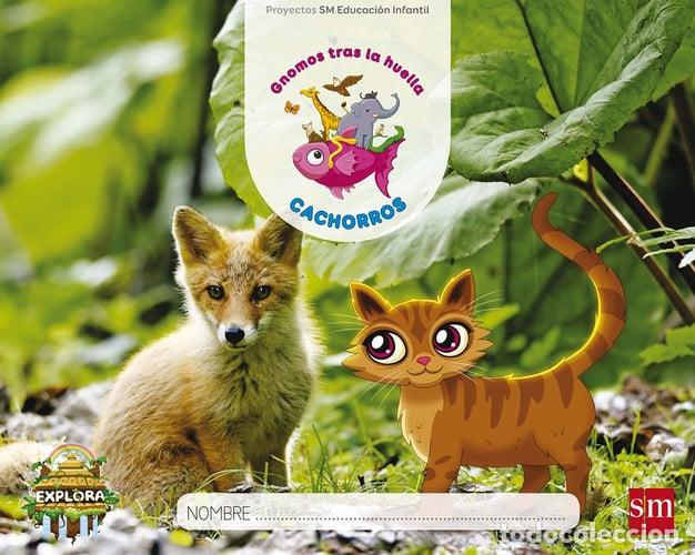 B&uuml;cher: Cachorros Gnomos tras la huella : proyectos SM Educaci&oacute;n Infantil : Explora - Men&eacute;ndez Camarena, Pil